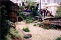 chelsea flower show